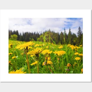 dandelion meadow Posters and Art